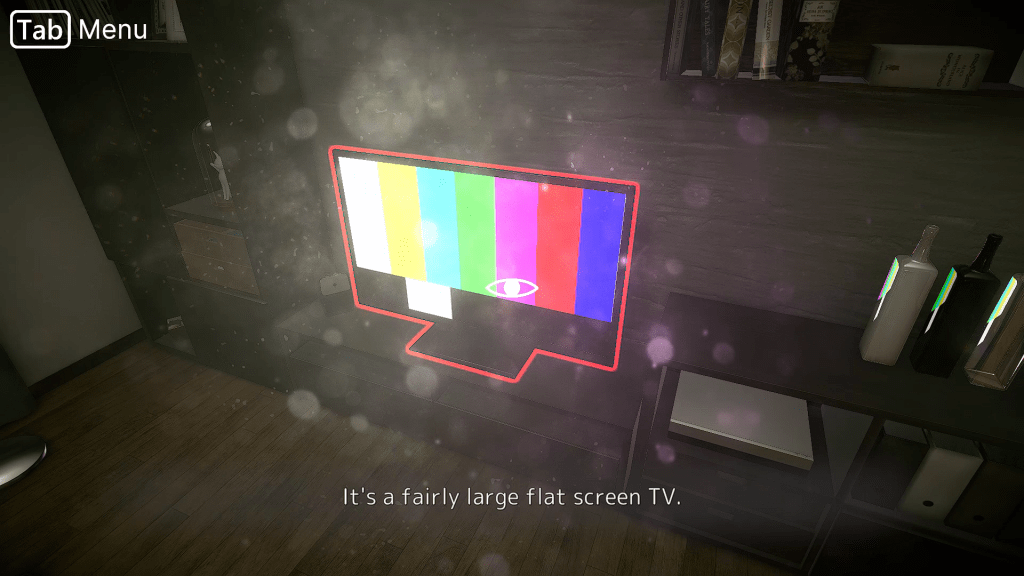 The television