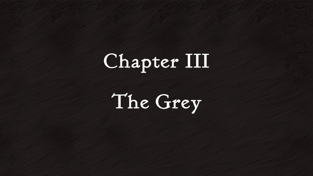 Chapter 3 The Grey 