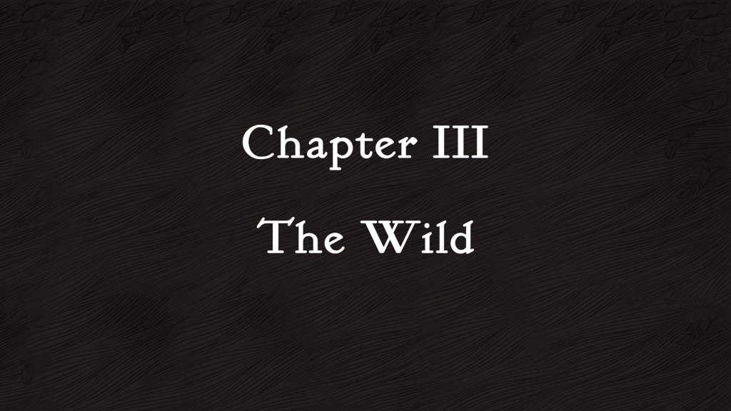 Chapter 3 The Wild